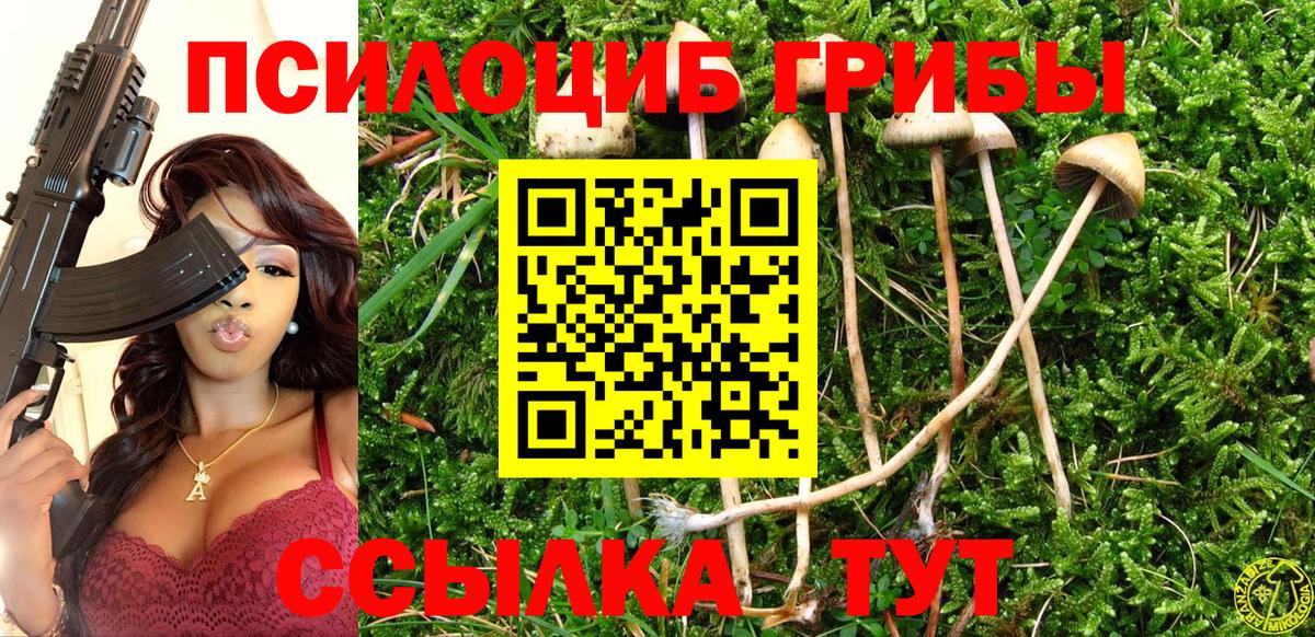 Псилоцибиновые грибы Magic Shrooms  Вход с VPN  Березники 